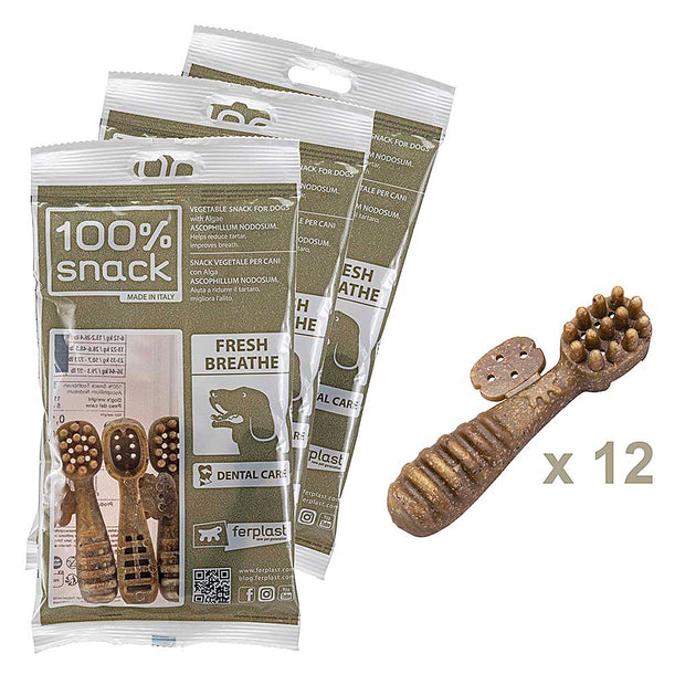 100% SNACK A REMPLIR -  TOOTHBRUSH ASCOPHILLUM