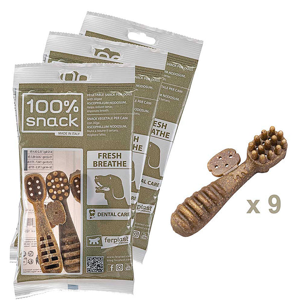 100% SNACK A REMPLIR -  TOOTHBRUSH ASCOPHILLUM