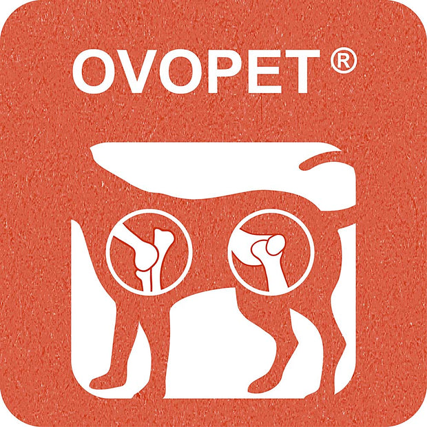 100% SNACK BÂTONNETS - FUSILLI OVOPET