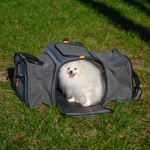 VOYAGER CARRIER PRO