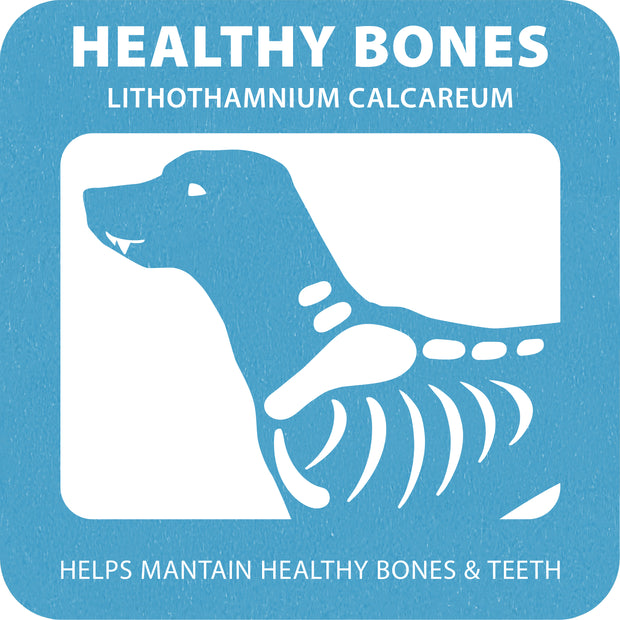 100% SNACK COOKIE - FERPY LITHOTHAMNIUM