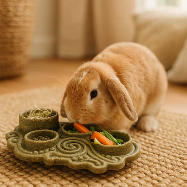 VEGGIE BITES BOL