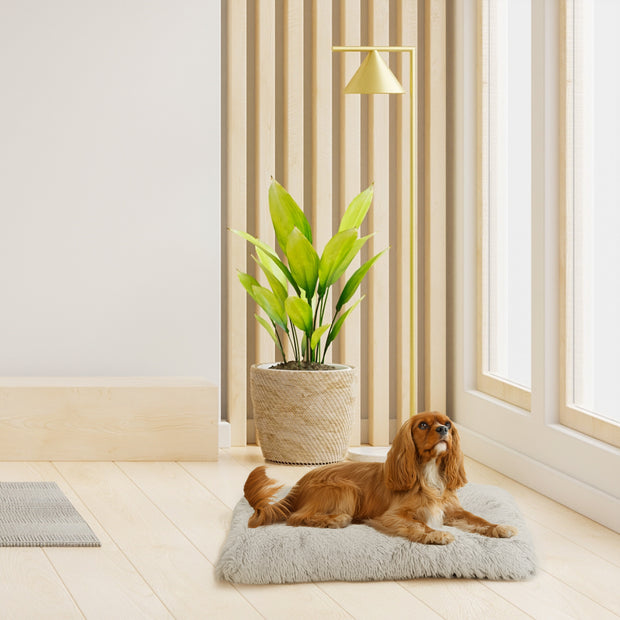 SHANTI lit pour chiens et chats