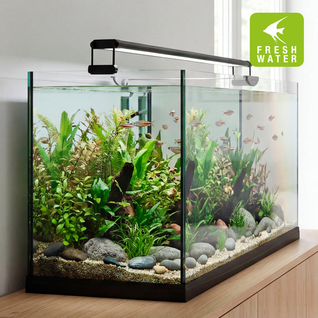 Lampe AQ-LUX FRESH