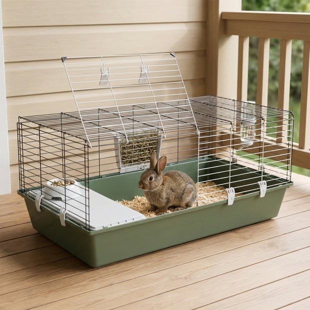 RABBIT 120