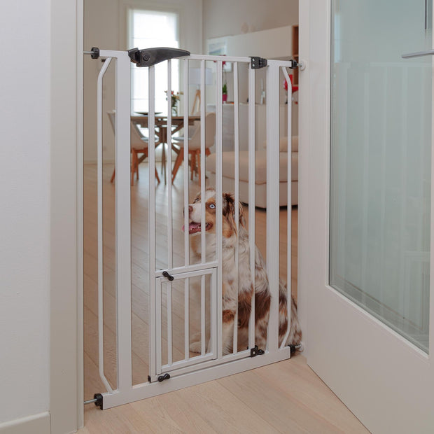 PET GATE