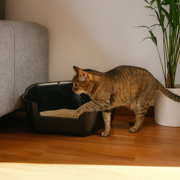 NIP CORNER H