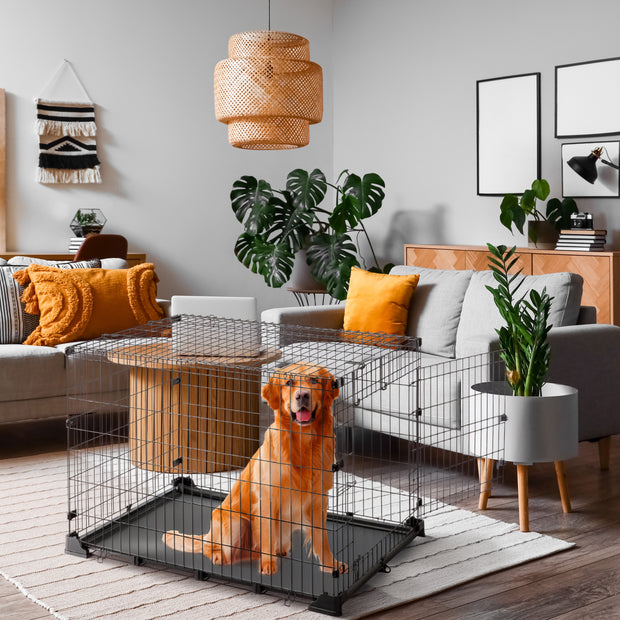 DOG ZONE cage pour chiens