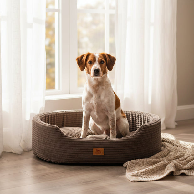 DANDY CORDUROY Panier divan avec coussin amovible pour chiens et chats