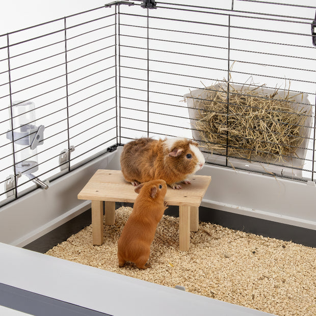 ARCADE TABLE Jouet en bois pour petits animaux