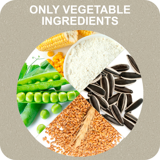 100% SNACK BÂTONNETS - SNOWFLAKE ASCOPHILLUM