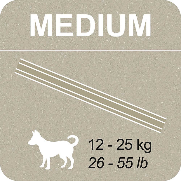 100% SNACK BÂTONNETS - SNOWFLAKE YUCCA