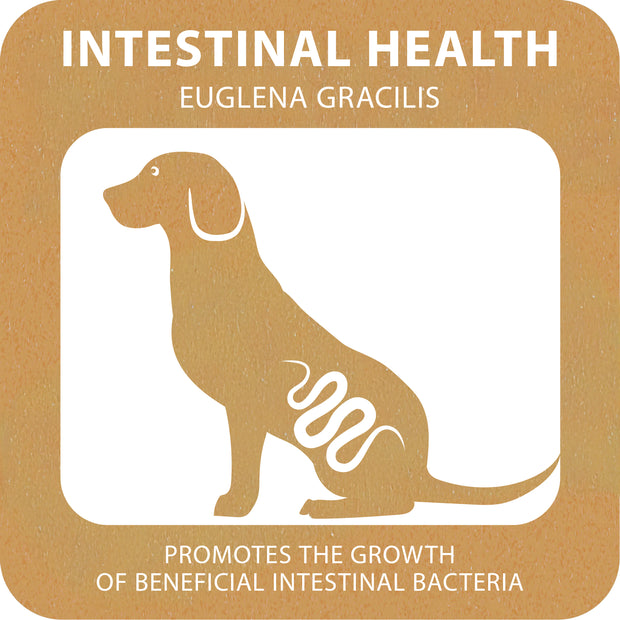 100% SNACK BÂTONNETS - MACCHERONI EUGLENA